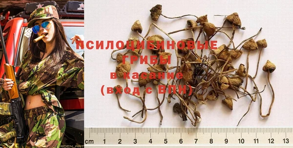 хмурый Гусиноозёрск
