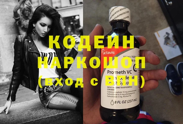 ГАЛЛЮЦИНОГЕННЫЕ ГРИБЫ Гусь-Хрустальный