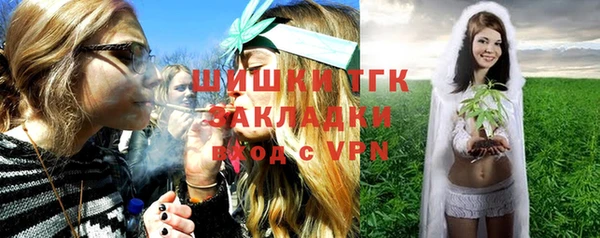ГАЛЛЮЦИНОГЕННЫЕ ГРИБЫ Гусь-Хрустальный