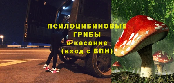 ГАЛЛЮЦИНОГЕННЫЕ ГРИБЫ Гусь-Хрустальный
