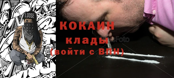 ГАЛЛЮЦИНОГЕННЫЕ ГРИБЫ Гусь-Хрустальный