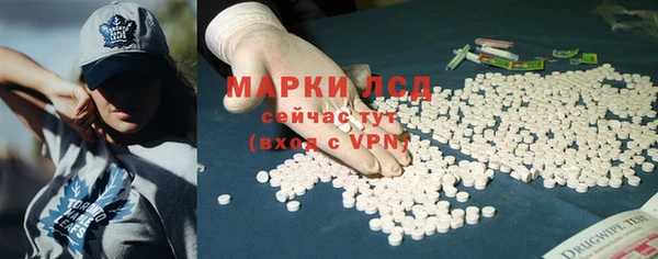 ГАЛЛЮЦИНОГЕННЫЕ ГРИБЫ Гусь-Хрустальный