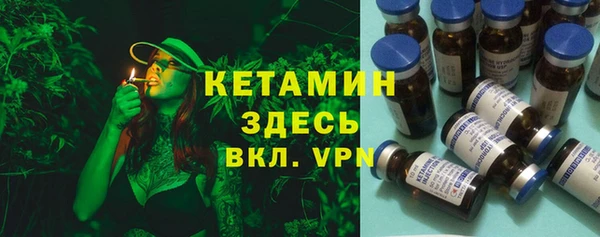 ГАЛЛЮЦИНОГЕННЫЕ ГРИБЫ Гусь-Хрустальный