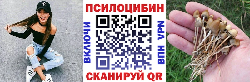 Псилоцибиновые грибы Magic Shrooms  где найти наркотики  Трубчевск 