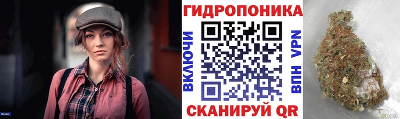 Бошки Шишки конопля  Трубчевск 